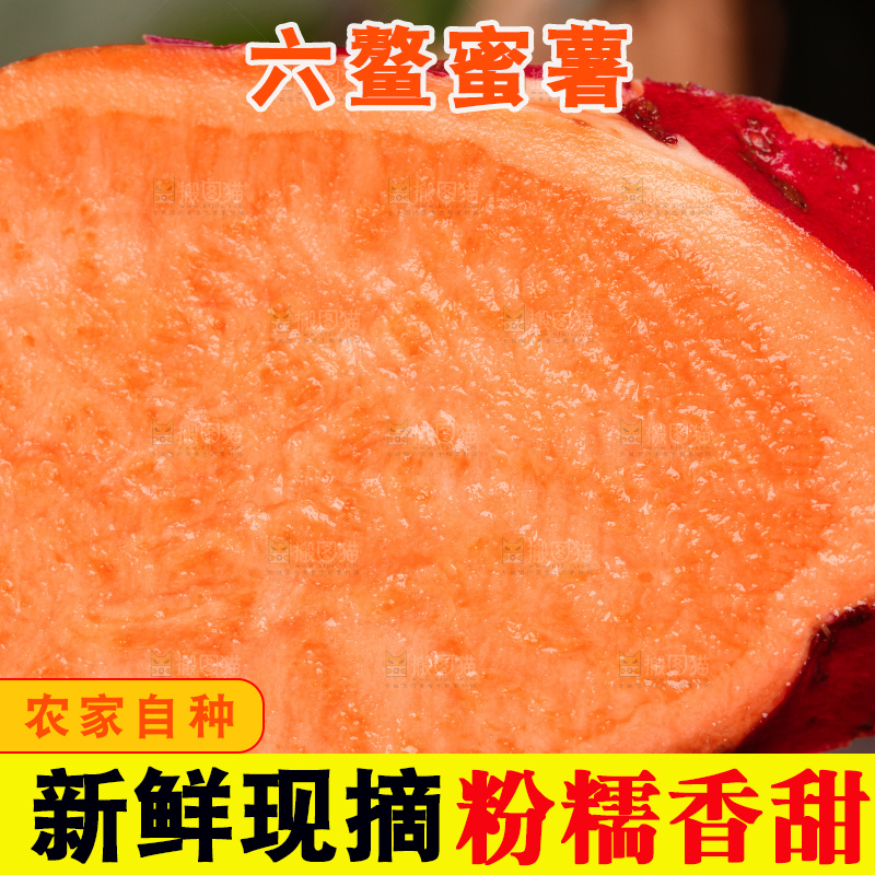 手里拿着蜜薯