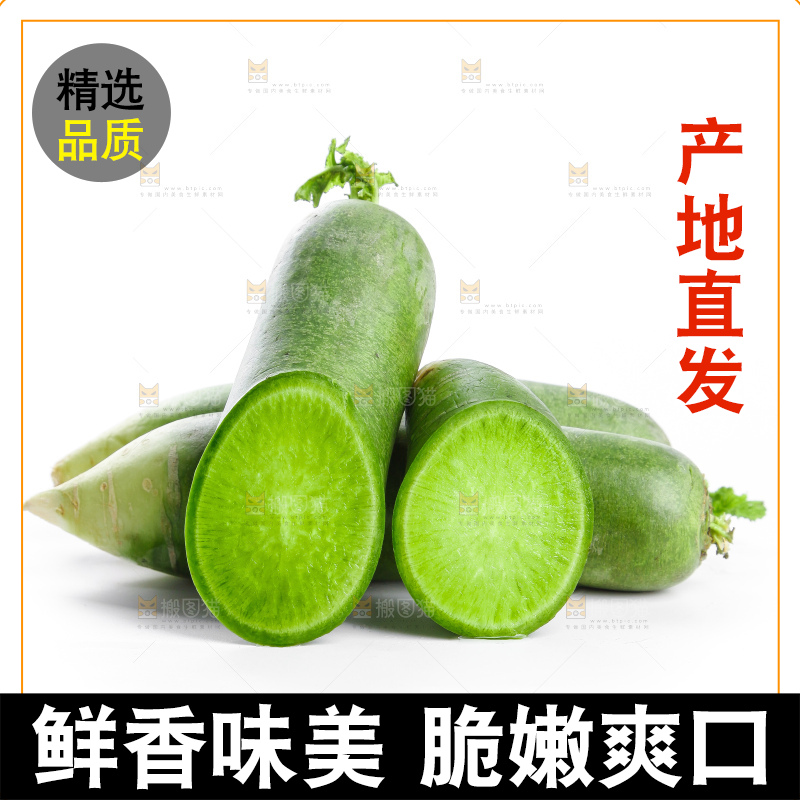 白底上摆放着绿心萝卜