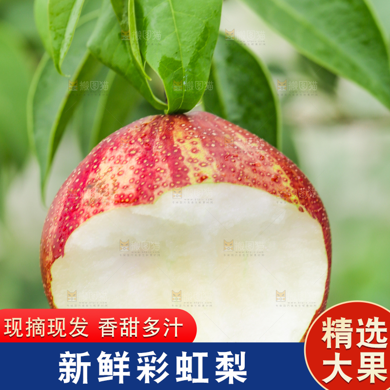 树枝上的彩虹梨