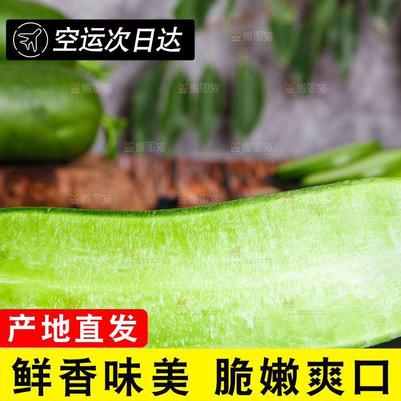 深底上摆放着绿皮萝卜