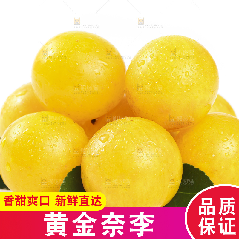 白底上的九峰山黄金奈李
