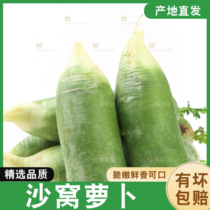 白底上摆放着绿心萝卜