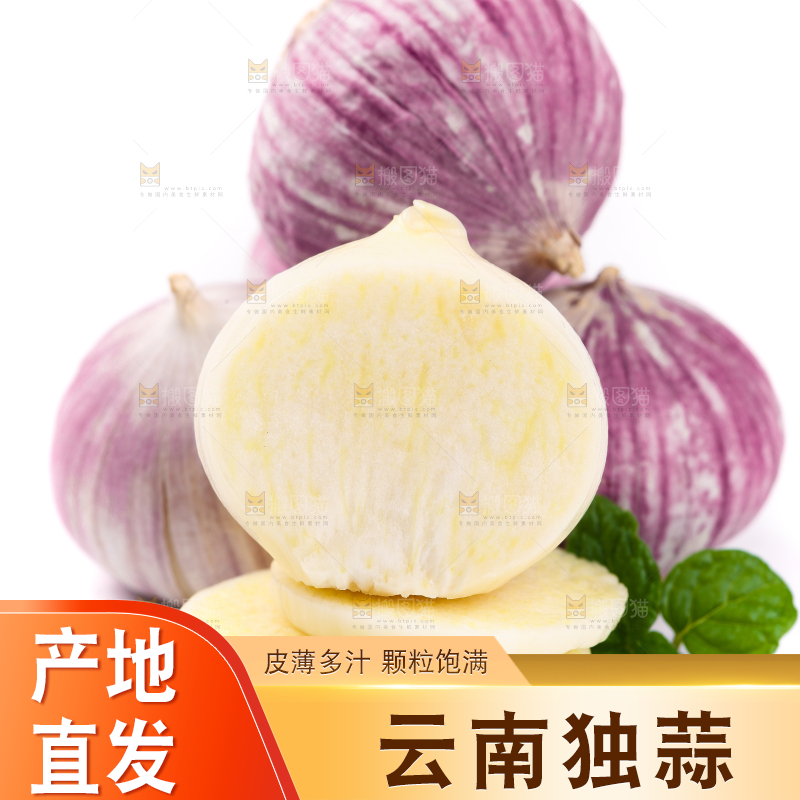 白底上摆放着紫皮独蒜