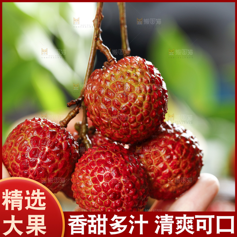 无核荔枝主图
