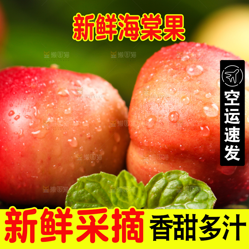 黑石板上的野生海棠果