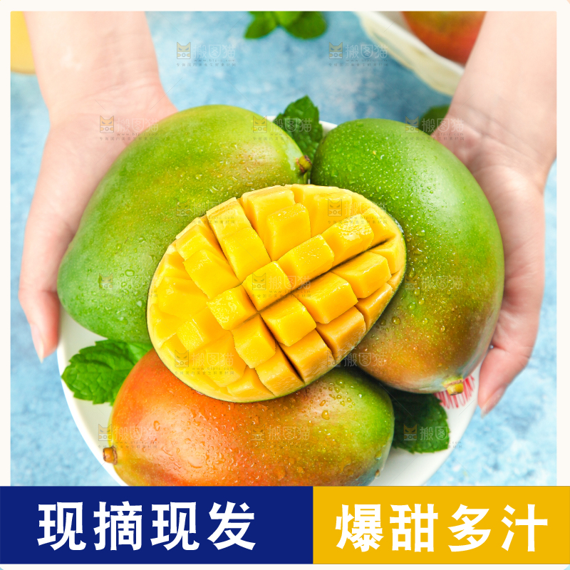 凯特芒主图