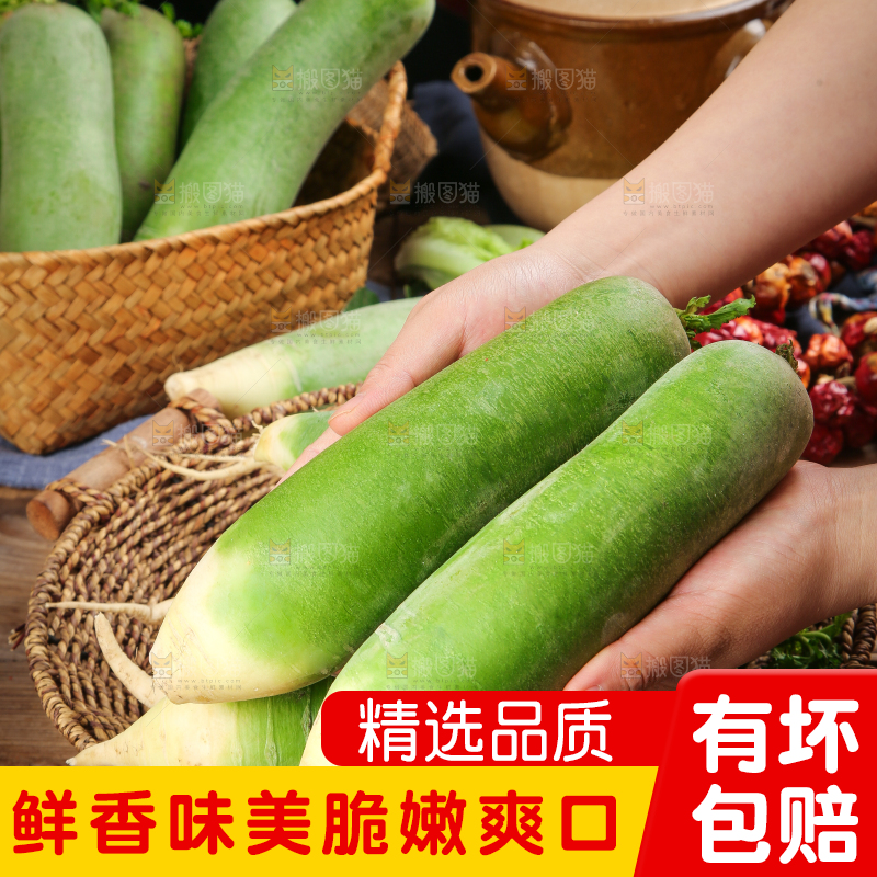 篮子里放着绿心萝卜