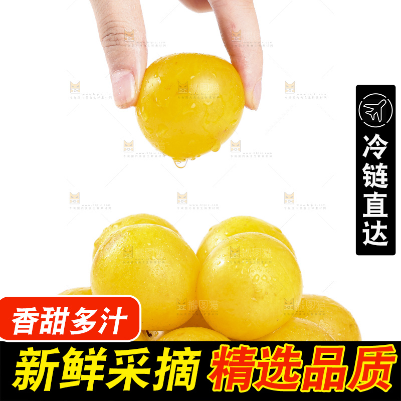 手拿黄金奈李