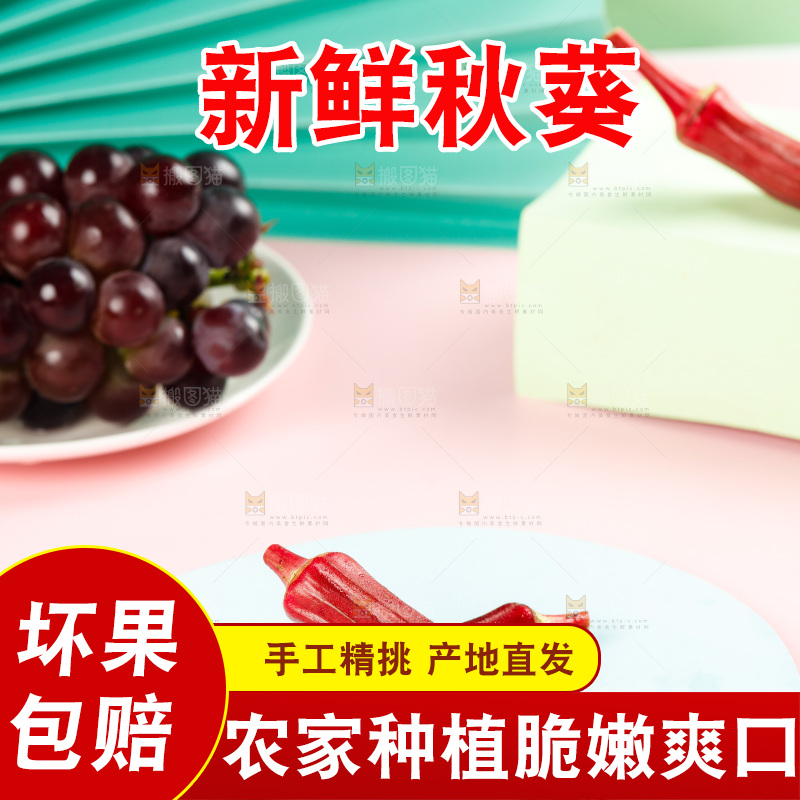 浅底上的红色秋葵