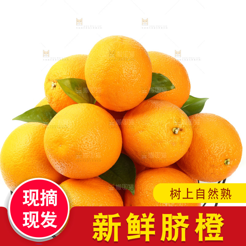 篮子里放着甜橙