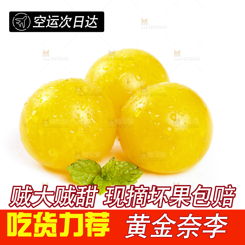 白底上的九峰山黄金奈李