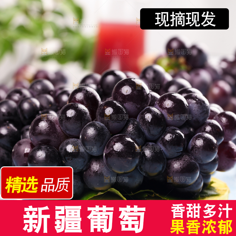 浅底上的巨峰葡萄