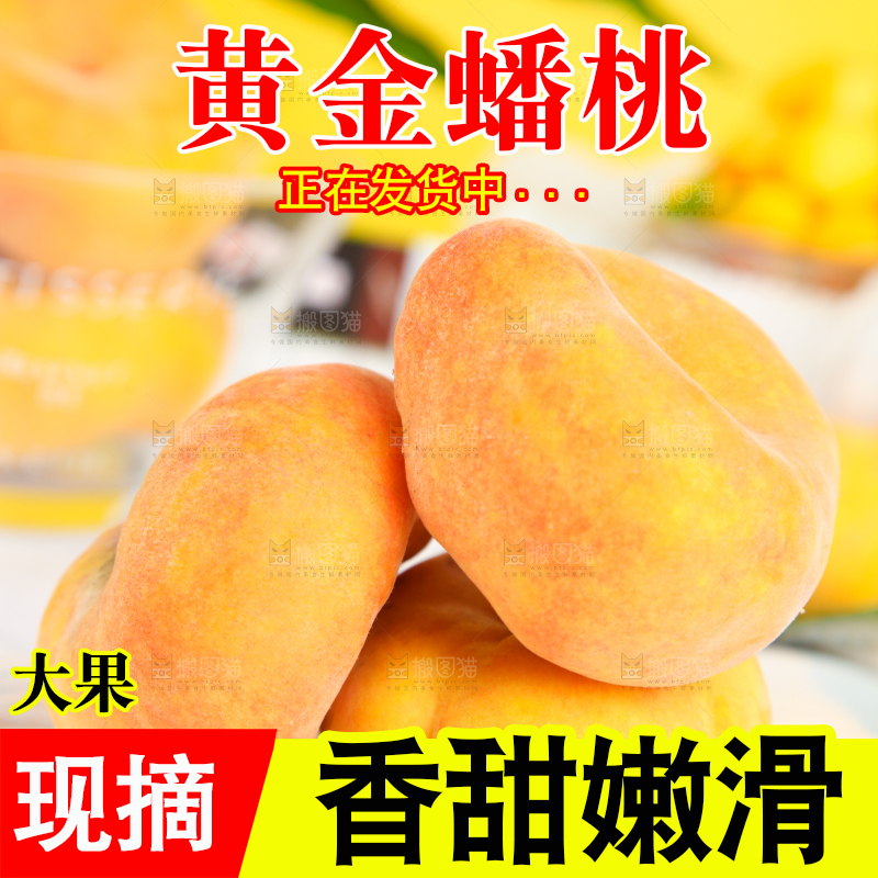 石板上的黄金扁桃