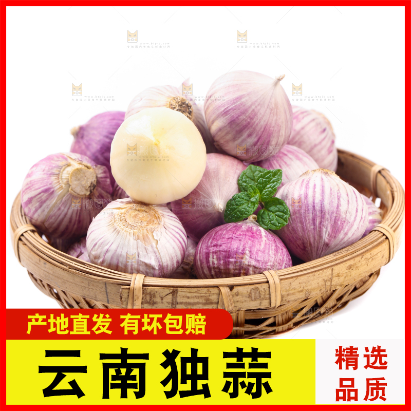 篮子里装着独头蒜