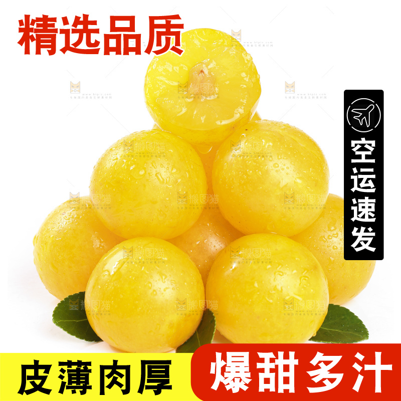切开的黄金奈李放在白底上