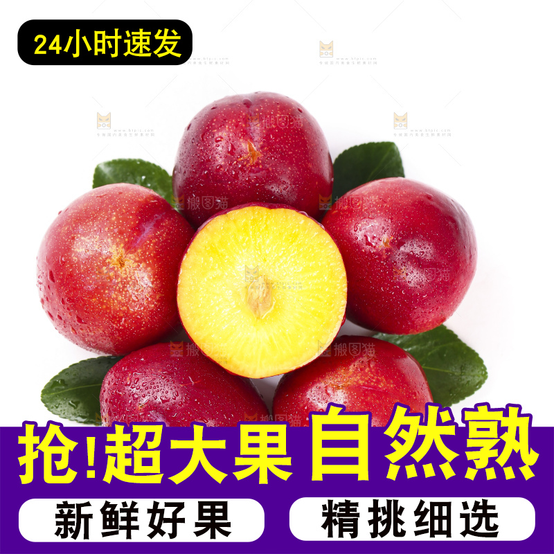切开的珍珠李放在白底上