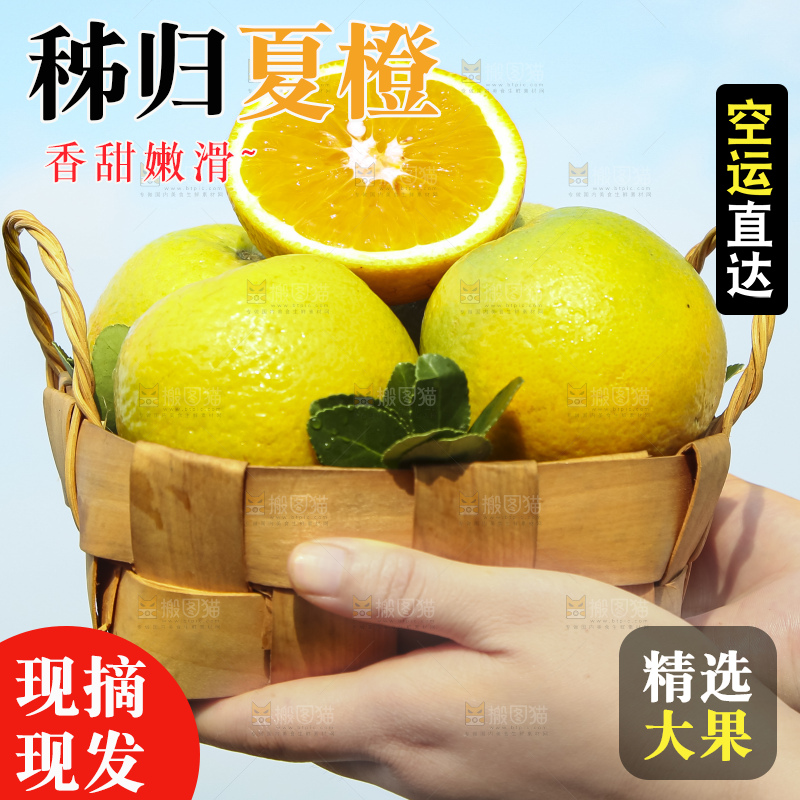 手拿一筐秭归夏橙