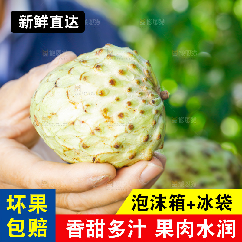 手里拿着释迦果