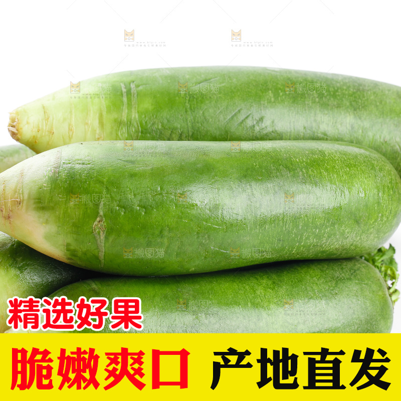 白底上摆放着绿心萝卜