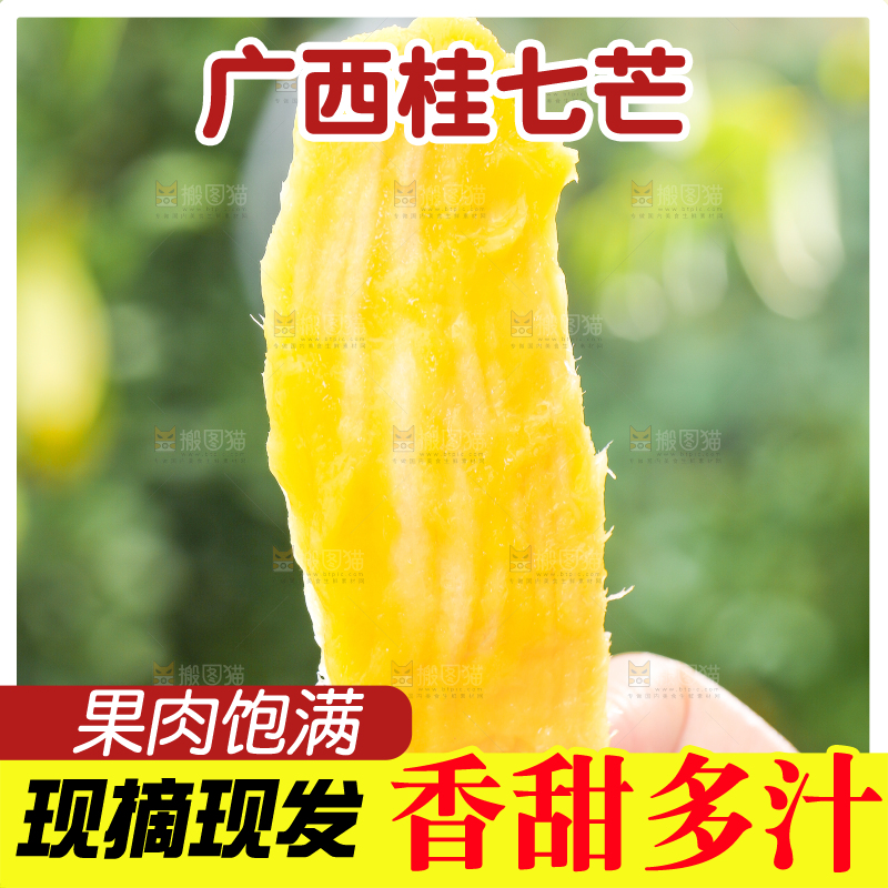 手拿桂七芒果核