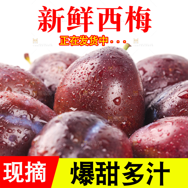 树叶上的西梅