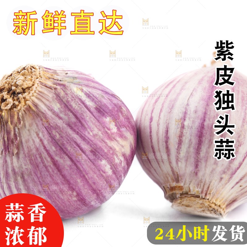 白底上摆放着独蒜