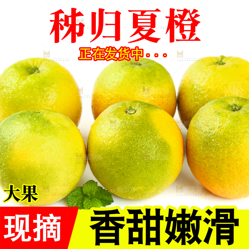 白底上的夏橙