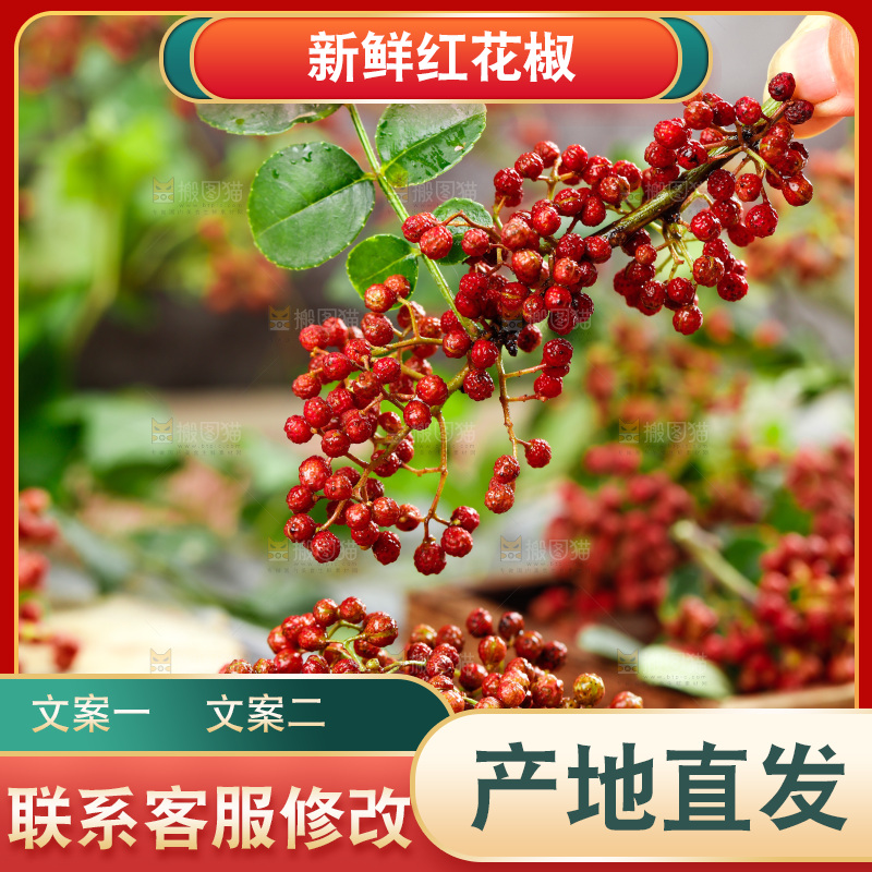手拿新鲜花椒
