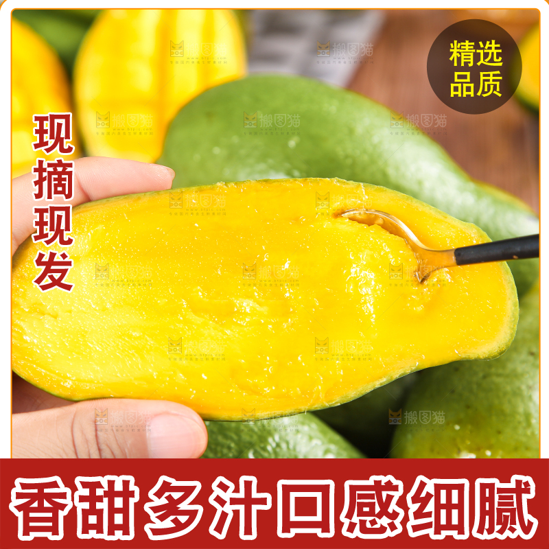 勺子里的桂七芒果肉