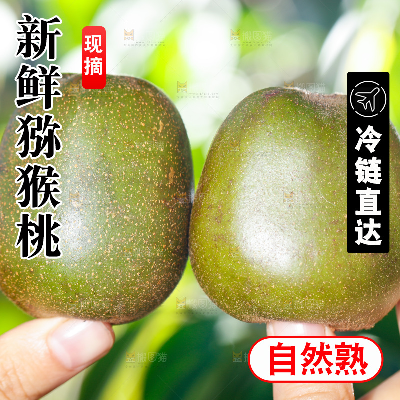 手拿猕猴桃