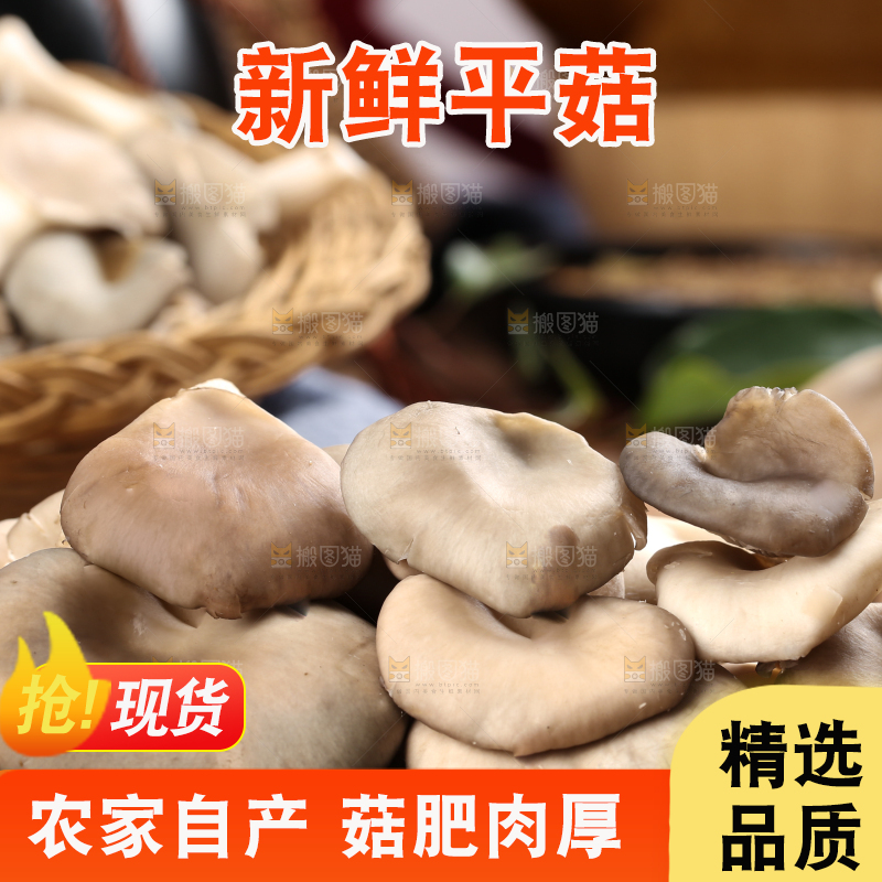 木底上放着平菇