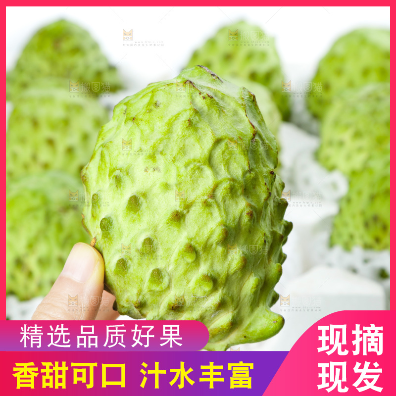 手里拿着释迦果