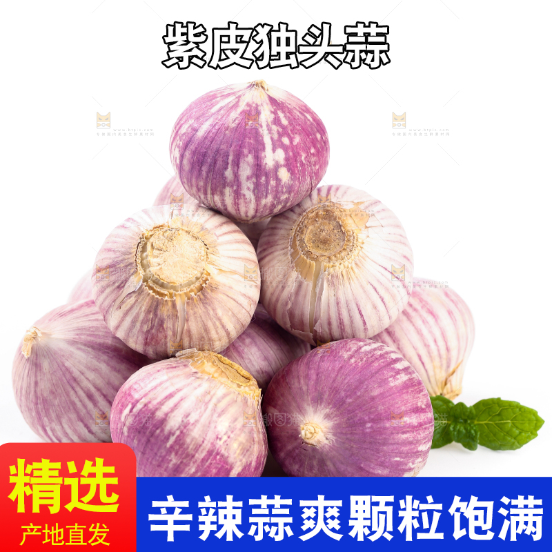 白底上摆放着独蒜