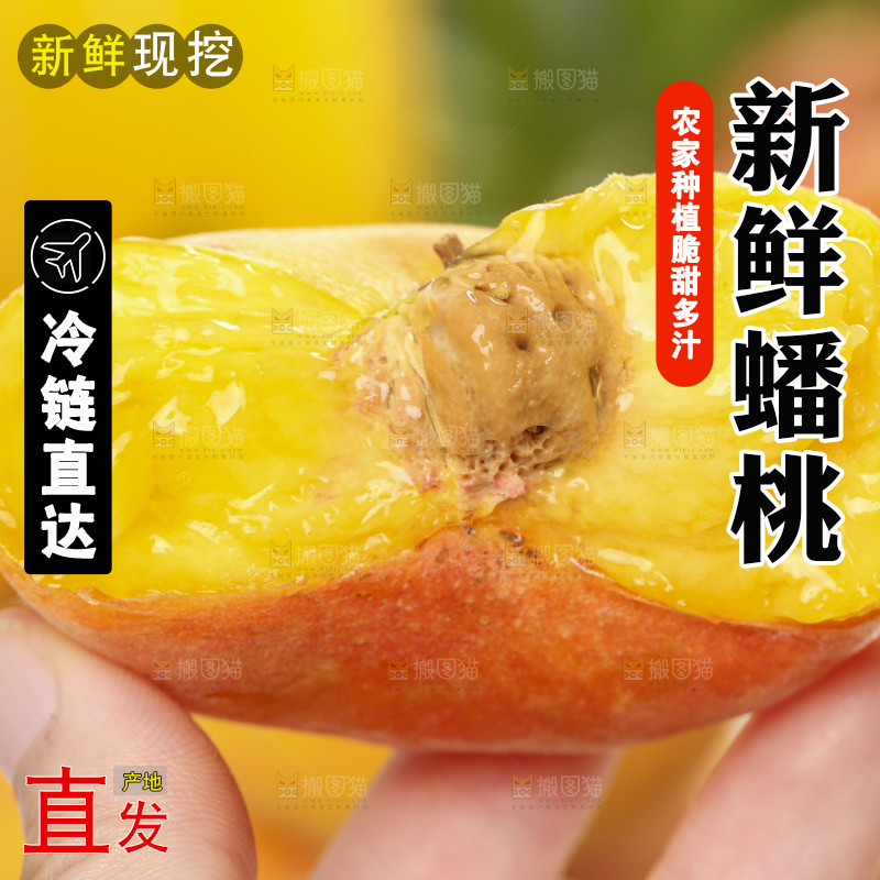 浅底上手拿着掰开的黄蟠桃