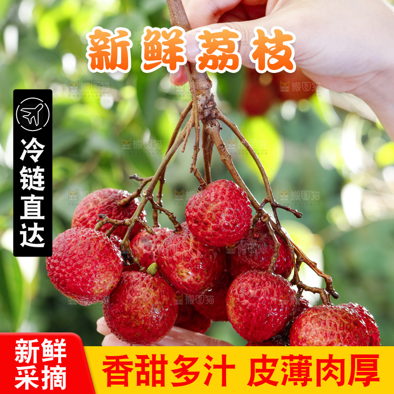 手拿荔枝