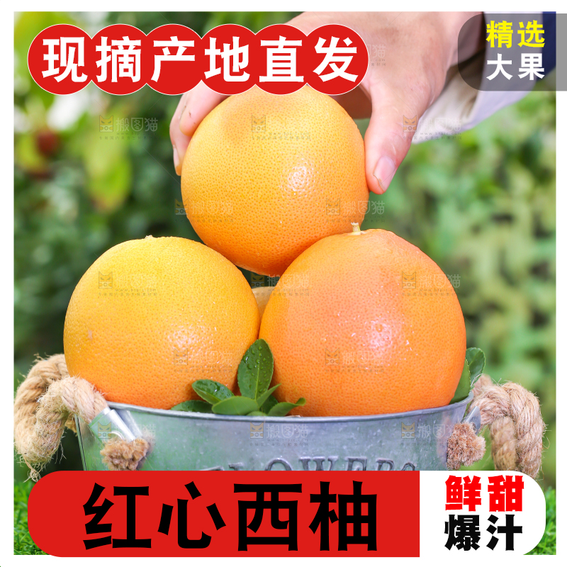 草地上手拿一个红心西柚