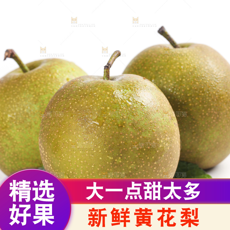 白底上的黄花梨