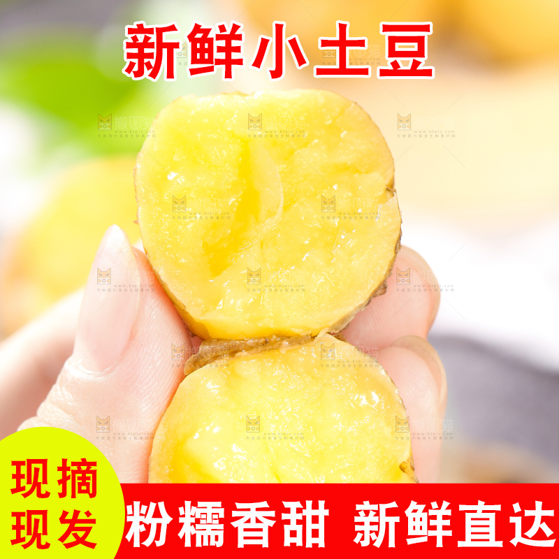 手拿掰开的黄心熟土豆