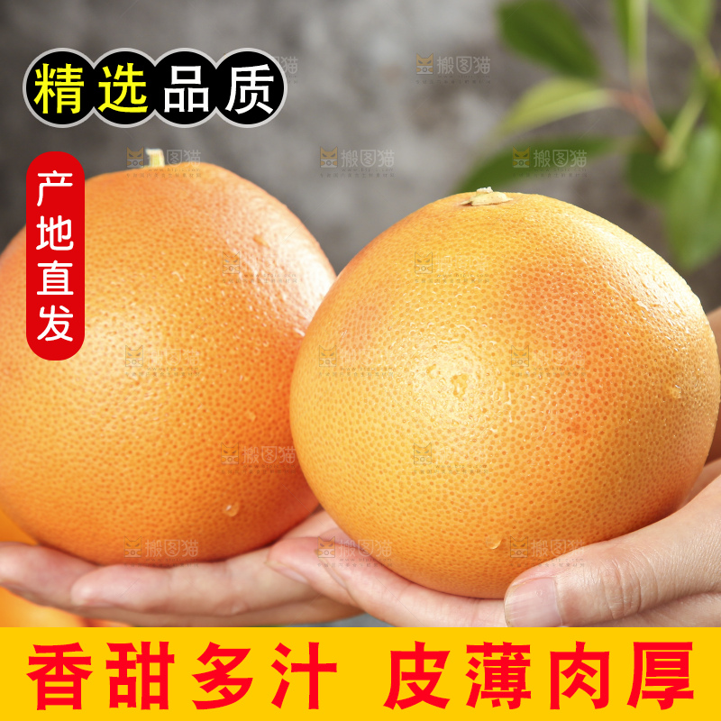 手里拿着的南非西柚