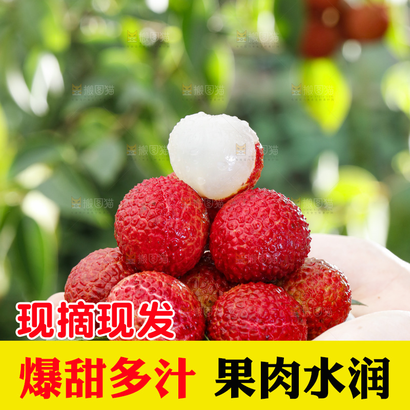 手拿荔枝