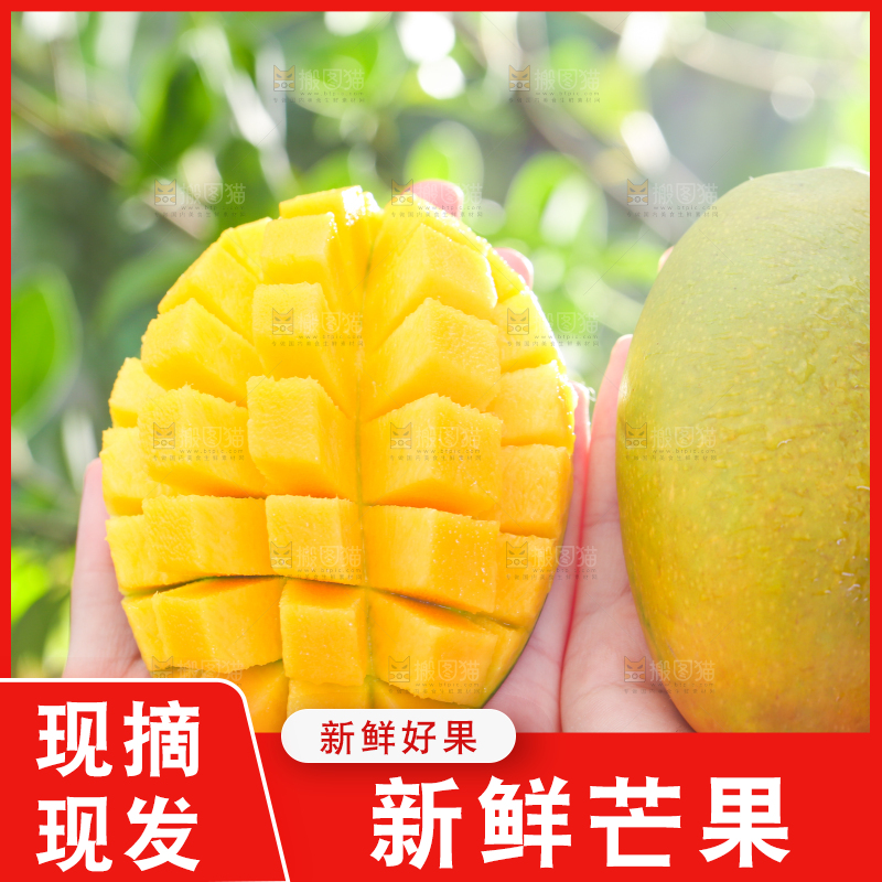 手拿切开的椰香芒果