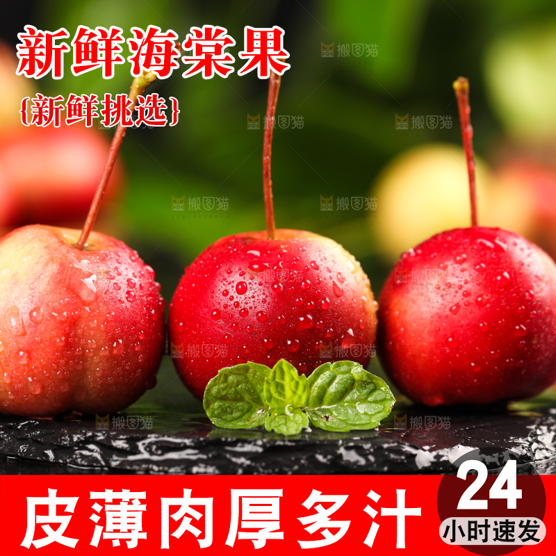 黑石板上的野生海棠果