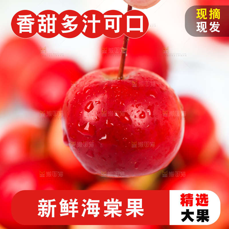 手拿新鲜海棠果