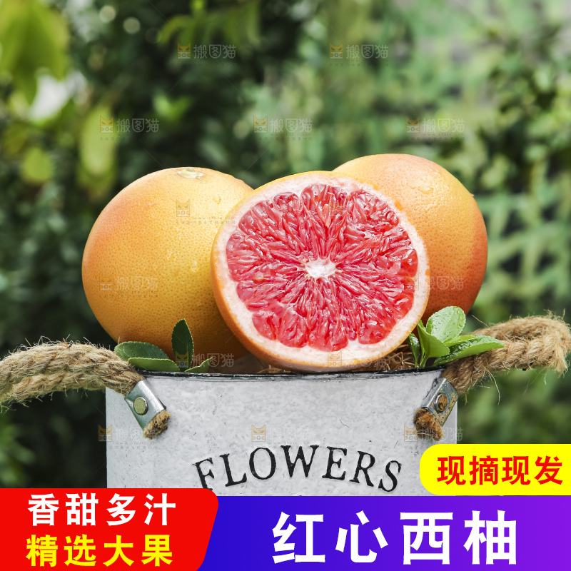 草地上放着一桶切开南非红心西柚