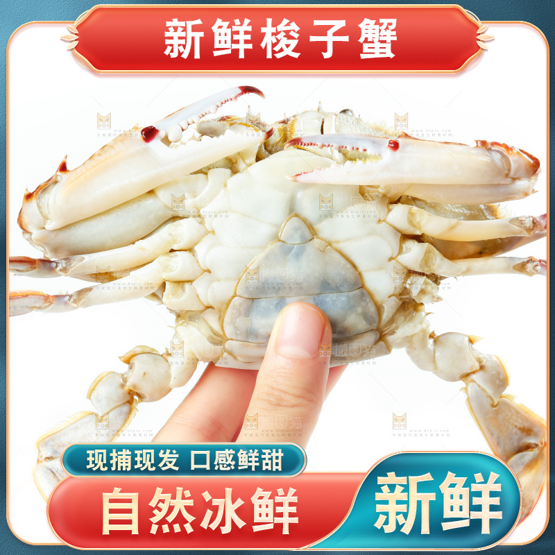 手拿梭子蟹