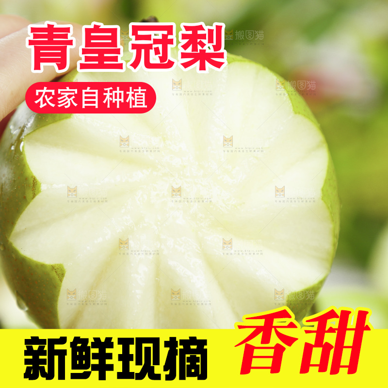 浅底上手拿着一个砀山青梨