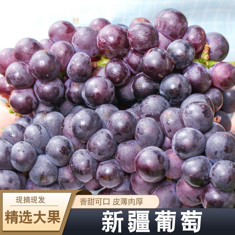手拿一盘巨峰葡萄
