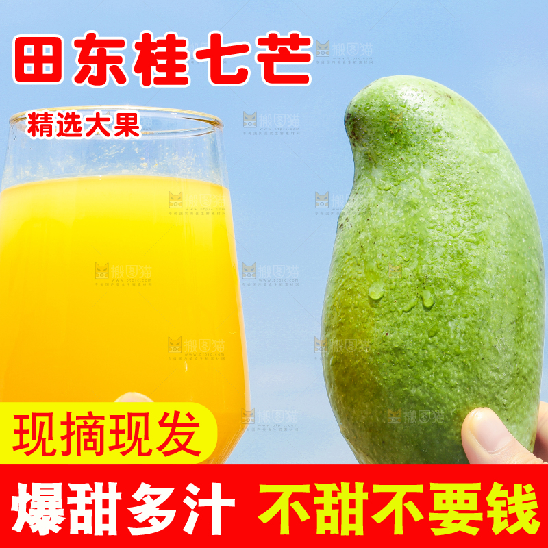 手拿田东桂七芒