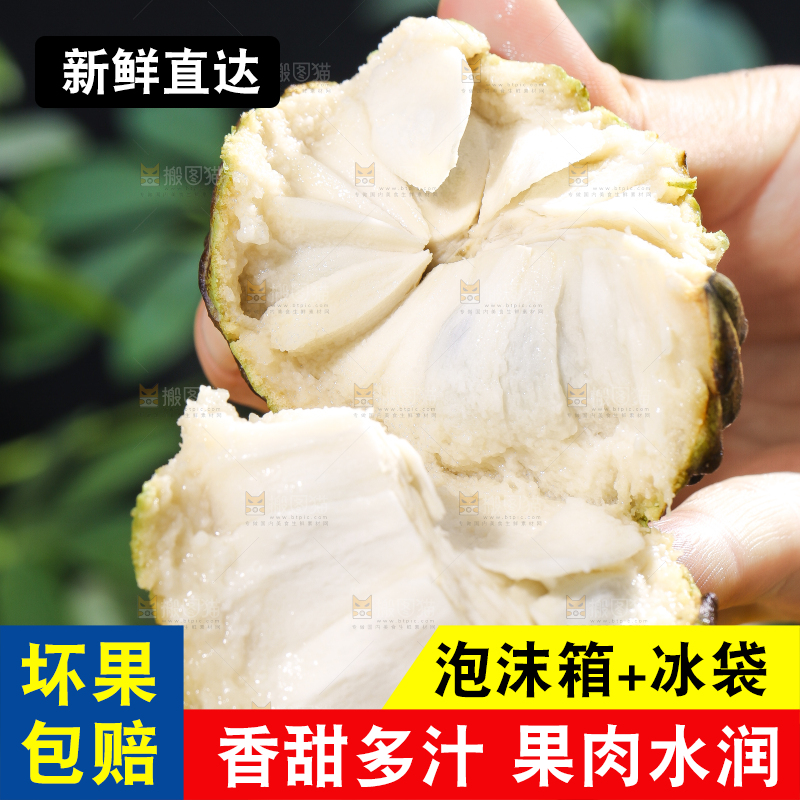 手里拿着释迦果