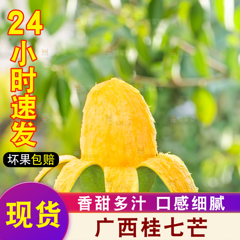 手拿剥皮的田东桂七芒